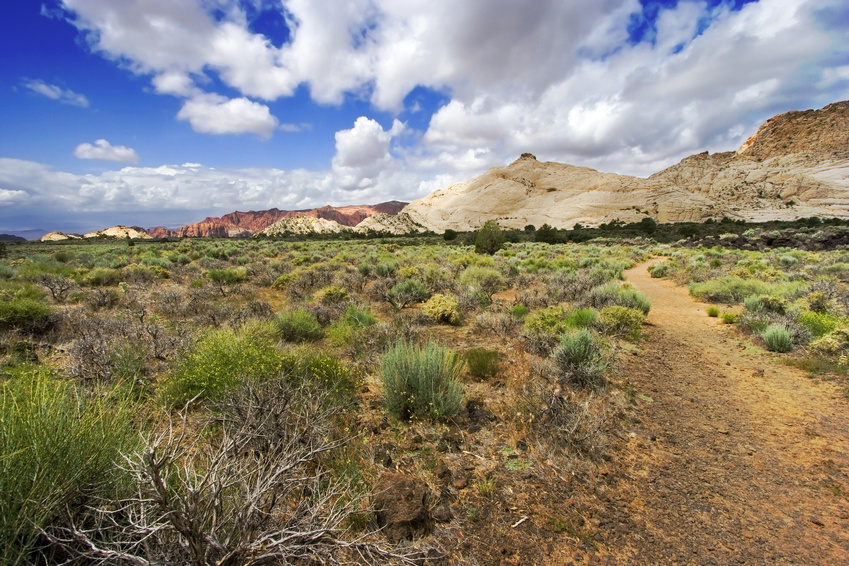 Property Card vs 7/12 Extract – Which Document Proves Ownership in Navi Mumbai?